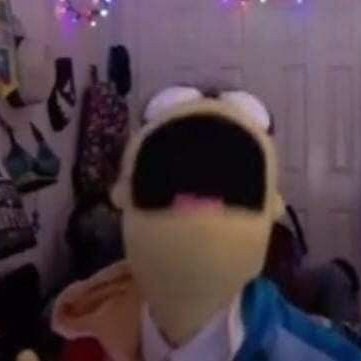 Misha_Chimmy's profile picture. 