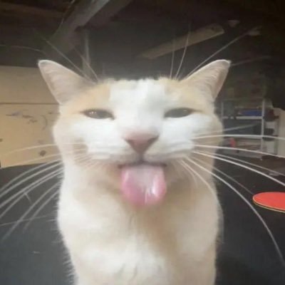 NolanNolansey's profile picture. 