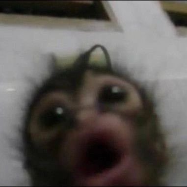 cALEB8101's profile picture. Slay