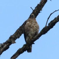 Alex (@alex38463783) 's Twitter Profile