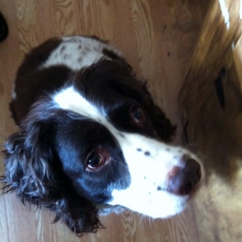 RichYanug's profile picture. 