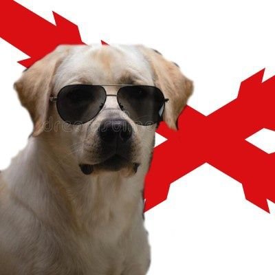 arty_perro's profile picture. Joint Terminal Attack Shitposter.                    
Antes que el Estado la Patria.                                       Si vis pacem, ya sabes lo que hay