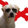 arty_perro's profile picture. Joint Terminal Attack Shitposter.                    
Antes que el Estado la Patria.                                       Si vis pacem, ya sabes lo que hay
