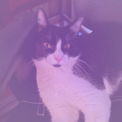 mirandaallynn's profile picture. do everything in love 🤍