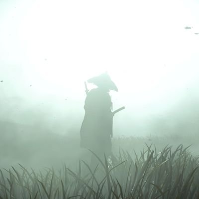 Virtual Photographer from NZ | Thanks for stopping by!