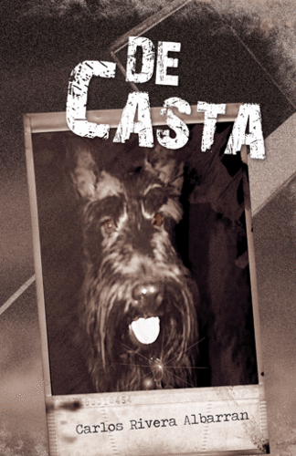 decastalibro's profile picture. Santiago heredó una finca en mal estado; por conocer que hubo detrás de su herencia, se involucra en una aventura que lo lleva a un desenlace sorprendente…