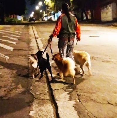 vangreyheart's profile picture. Iniciando - efetivamente - os estudos tec/dev em Jul/23. Doida por animais, sedenta pra upar na vida e louca distribuir corretamente os suados pontinhos de xp