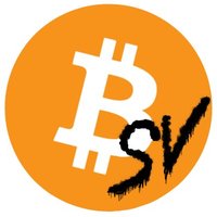 Everything BSV(@BsvEverything) 's Twitter Profile Photo