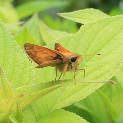 Parker_'s profile picture. Subsistence reseller, recreational learner, book listener, show watcher, nature, politics, geography, building, fixing, electronic music, psychology
