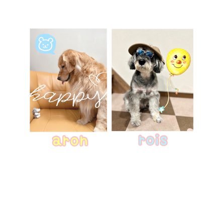 なぞ人間です｡。🤖💭 大好きなmyブラザー達🐶🐶 アロたん🐶♪ْ˖⋆✧˖◡̈⃝°˖* 💙 ロイたん🐶♪ْ˖⋆✧˖◡̈⃝°˖* 💚 ゴールデンレトリバー🌼シュナウザー🌼⋆*𖧧𖥧𖥣𖡼𖥧ꕀ 𖤐˒˒ ꗯ̤̮ ⋆⁺ダイエット不向きランキング1位🐻‍❄️🍽