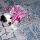 Nieve Castro - @NieveCastro - Twitter