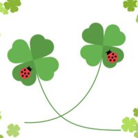 Clover-sub🍀 (@cloversub129) 's Twitter Profile