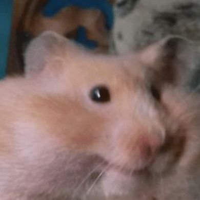 No_Null_Name's profile picture. 