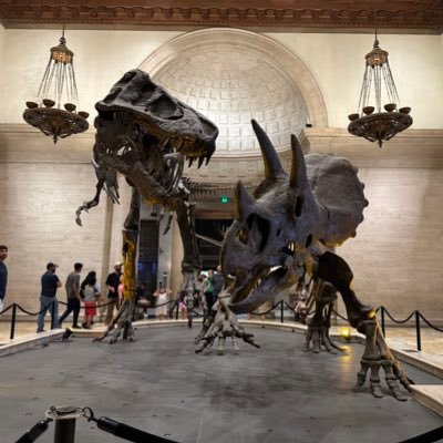 strange_normal's profile picture. 