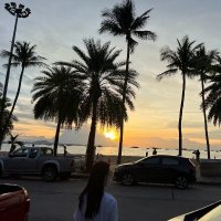 Brandy (@annieccx) 's Twitter Profile