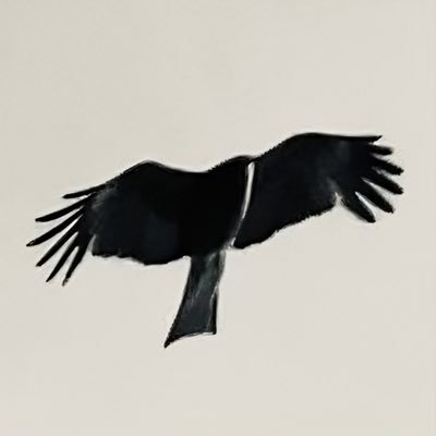 lintua's profile picture. Retweet ≠ Endorsement