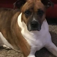 Mike S (@mike173934) 's Twitter Profile