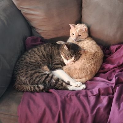 LoveWins0100's profile picture. a woman and a mother who adores animals and freedom!!