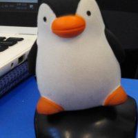 FernMeta (@fernmeta_) 's Twitter Profile