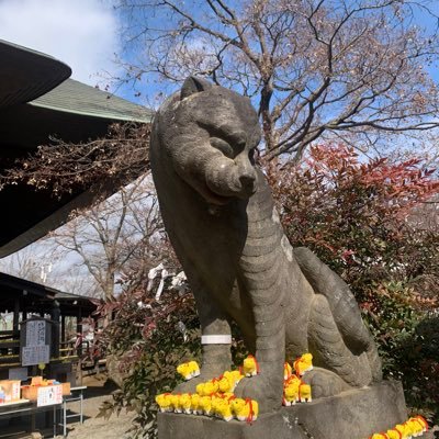 Sei1107's profile picture. 岩手県盛岡市在住！ラーメンと筋トレをこよなく愛する50代🍜💪 つけ麺、混ぜそば、汁なし、油そば、家系、二郎系、煮干系、味噌、醤油、等など。美味いラーメン屋を時間の許す限り探してます☺️👍💓🍜