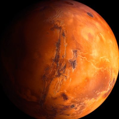 IsXjxp's profile picture. (24)