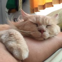 Dwen16 (@dwen16) 's Twitter Profile