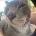 AT (@i_eat_salami) Twitter profile photo AT (@i_eat_salami) Twitter profile photo