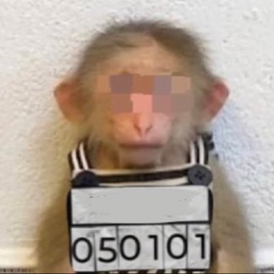 HussainUjah's profile picture. 