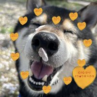 おおばつ🌾@男爵🍠🍪aim🎸 (@nbdze7) 's Twitter Profile