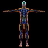 Name (@rikunode) 's Twitter Profile