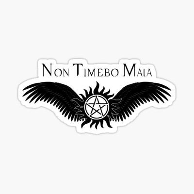 Mkdthesituation's profile picture. Security consulting