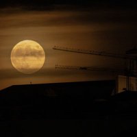 fan (@sudanibro) 's Twitter Profile