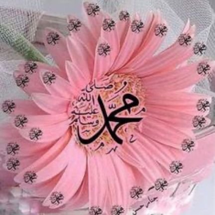 الكووثر 🍃🌺💐