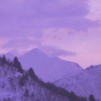 비주 (@_beaju) 's Twitter Profile