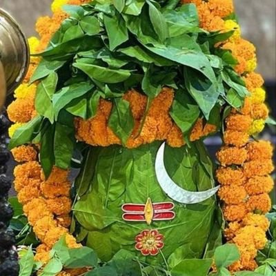 binayKu79427625's profile picture. 