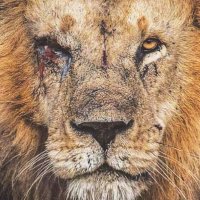 TopG (@1ogbad) 's Twitter Profile