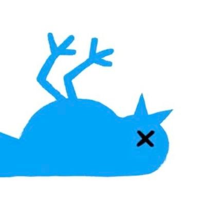 filmverliebt's profile picture. #filme #serien #medien #nerdkram #politik #internetgold