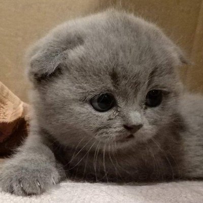 Страх и ненависть в комнате неудачницыさんのプロフィール画像