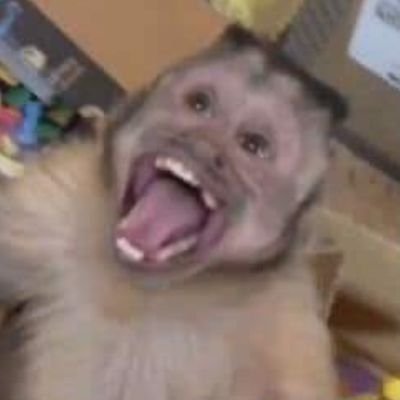 Aurelio9107's profile picture. .