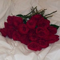 .🧡سٓ (@mahmoodsim61258) 's Twitter Profile