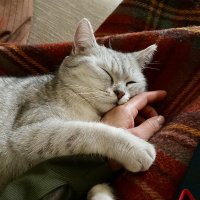 Ali A 💚🌏🌳💦 (@tckinfc12) 's Twitter Profile Photo