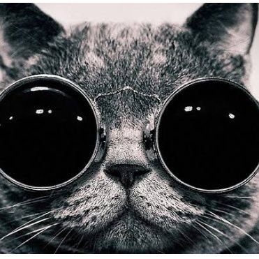 Anusha__shetty's profile picture. Embracing the laid-back lifestyle while staying in the loop with the latest trends and universal happenings. Keep'n it chill and informed. #LazyButInformed