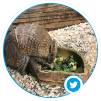 こぶ😷 (@kobaut2) 's Twitter Profile