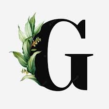 IAsesoría - Auditoría y Consultoría Gastronómica - Coaching para colaboradores sector HORECA - Gastroarquitectura -Cocina Autor,  Molecular e Internacional.