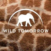 Wild Tomorrow(@wildtomorrow) 's Twitter Profile Photo