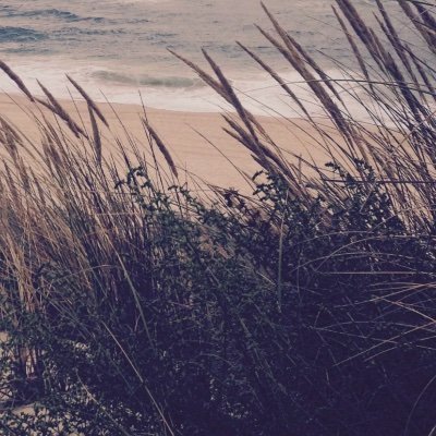 MarsayJulien's profile picture. 