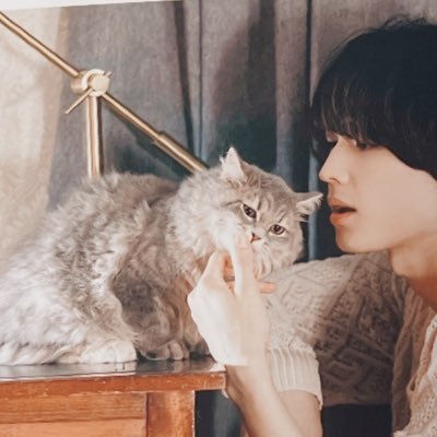 cc_caorin's profile picture. 北斗くんより🐶ハコ推しスト担💎 語彙力なくひとりで抱えきれない狂喜乱舞な思いを叫んでます。同担他担大歓迎🫶仲良くしてください👻 #over30なスト担と繋がりたい (Aぇも絶賛応援中🌱)