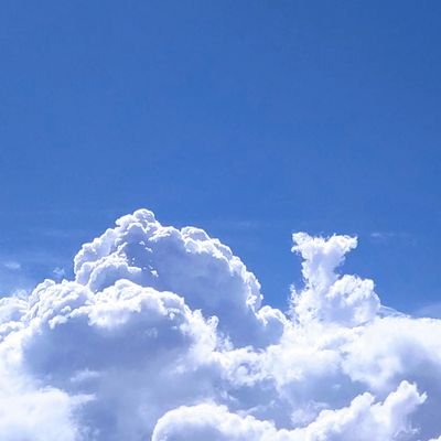 sola28418's profile picture. カルデアとテイワットを行き来してる
典型的なオタクです…(。・ω・)ﾉども