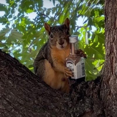 Jason3669792981's profile picture. 