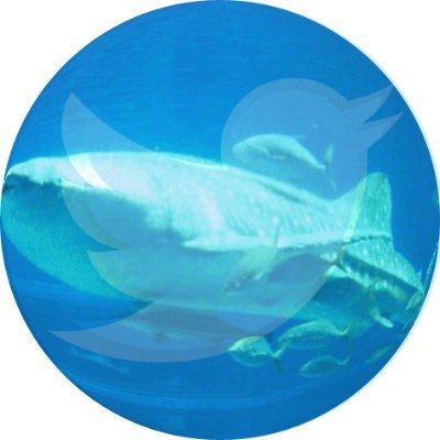 mameyomogi15's profile picture. 京都市のまん中らへんを徘徊してることが多くて、その時の気分でええかげんなことをつぶやきます。